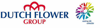 logo-dfg
